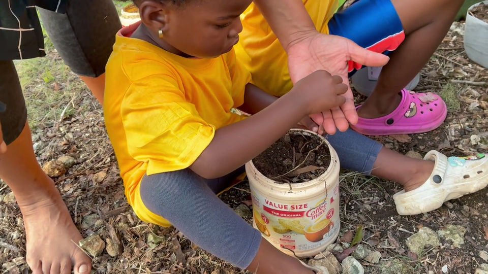 Seed planting exercise